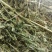 甘肃玉门头茬大捆苜蓿草产地直销国产优质苜蓿草大捆