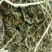 甘肃玉门头茬大捆苜蓿草产地直销国产优质苜蓿草大捆