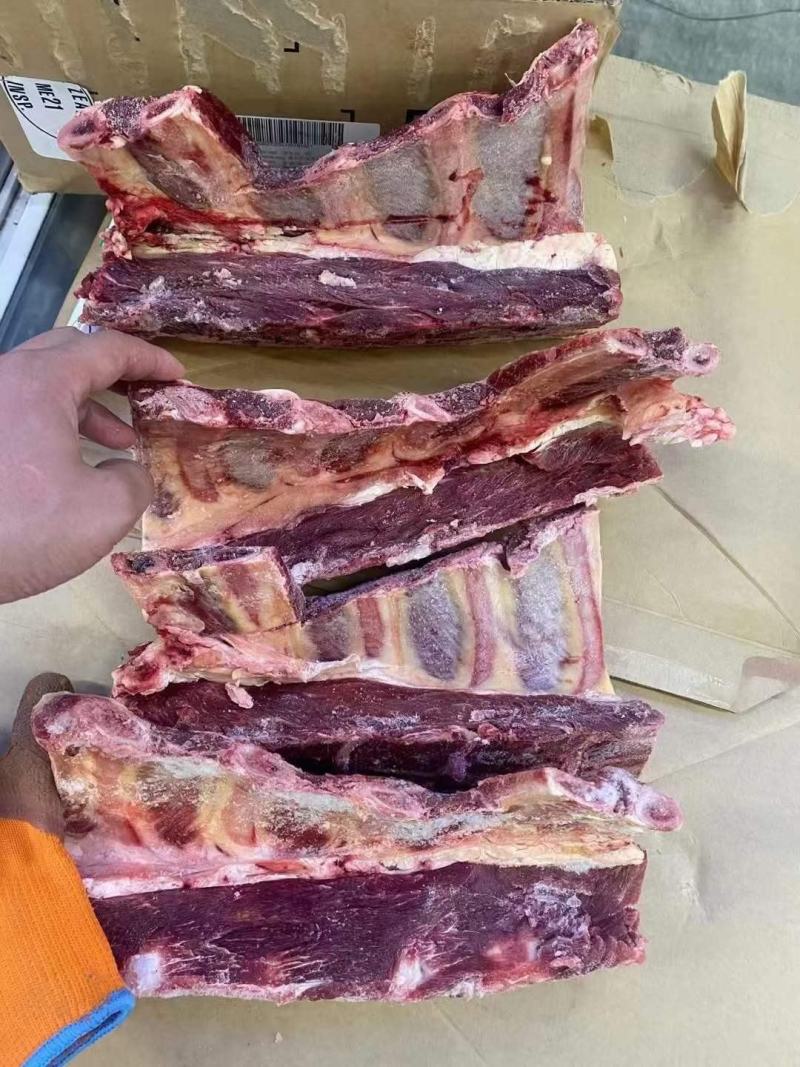 新西兰21厂肩胛骨