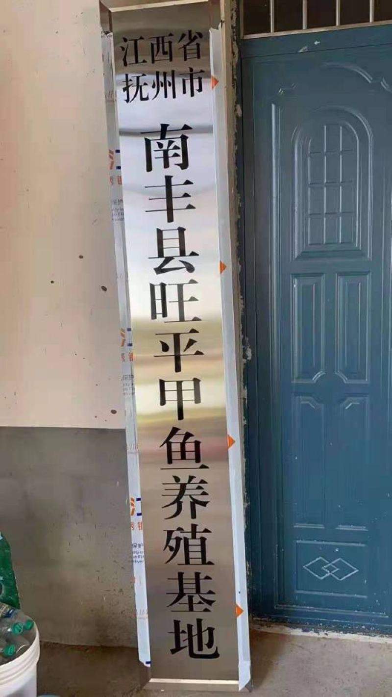 （基地直发）量大从优江西南丰旺平精品稀有黑花甲鱼欢迎