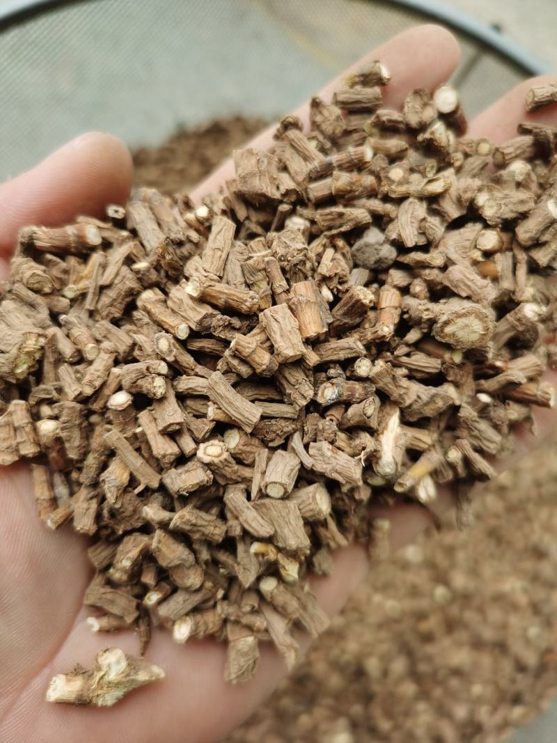藏柴胡包邮藏柴胡一手货源，质量保证产地直销