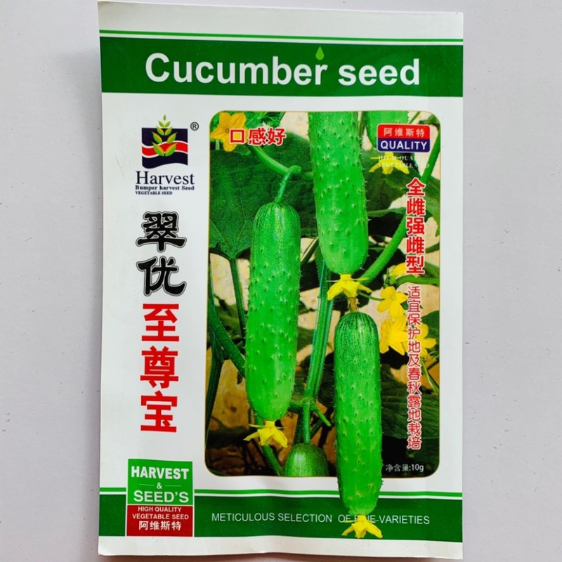 翠优至尊宝全雌强雌性水果黄瓜种子节节有瓜口感好抗病高产