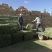 甘肃玉门小捆苜蓿草产地直销全绿苜蓿草甘肃酒泉地区苜蓿