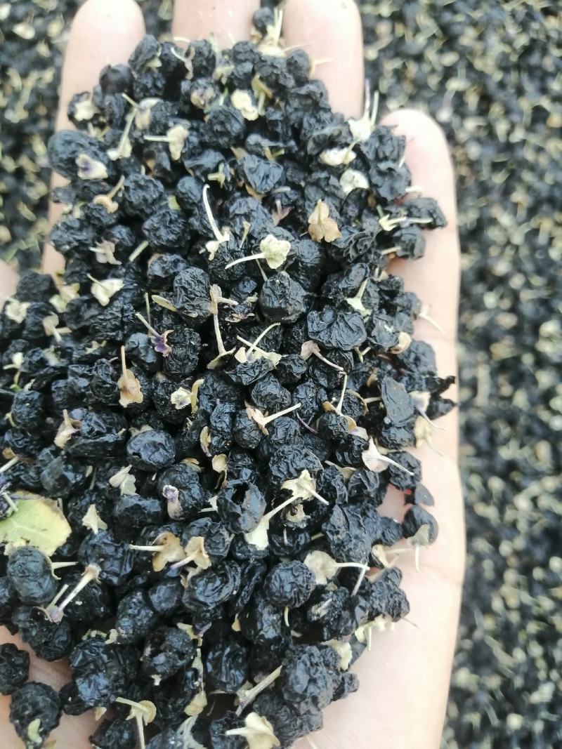 黑枸杞一罐500g甘肃玉门花海黑枸杞甘肃价格便宜批发