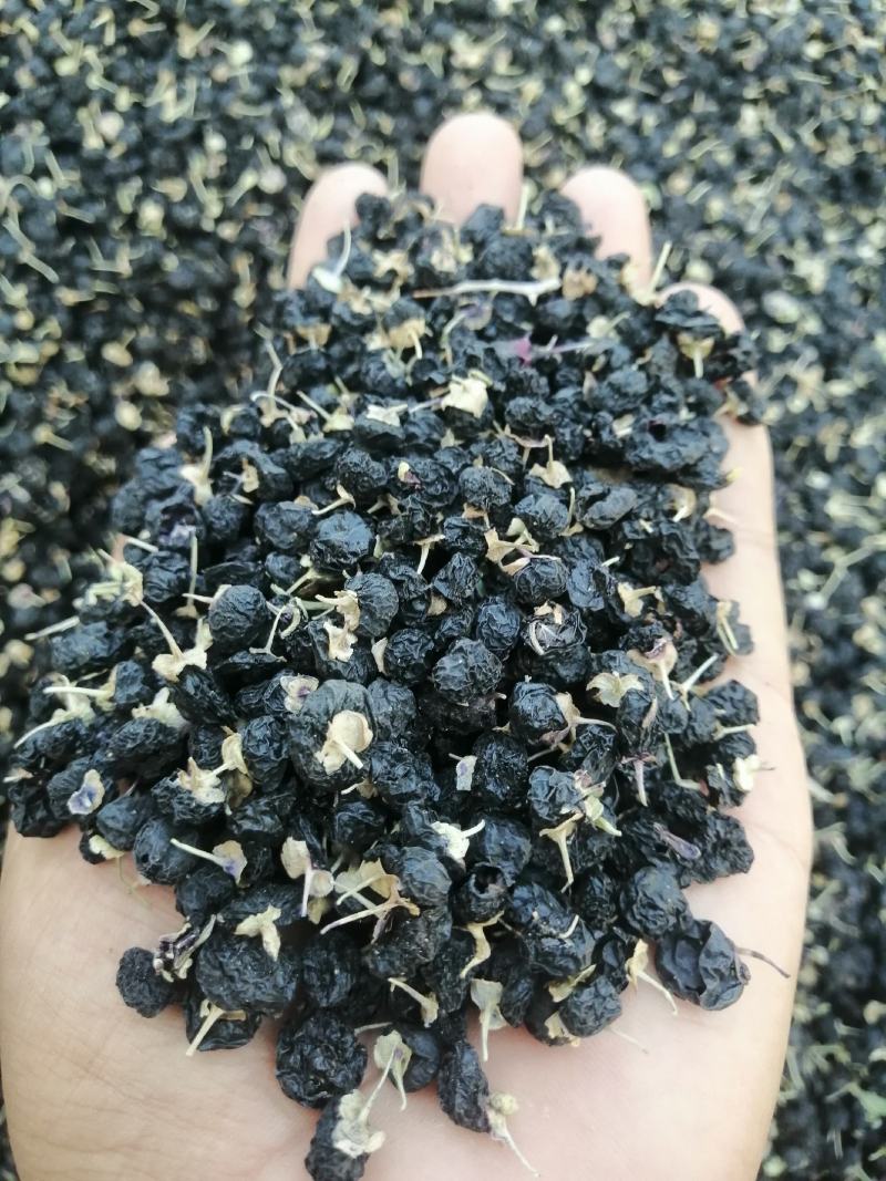 黑枸杞一罐500g甘肃玉门花海黑枸杞甘肃价格便宜批发