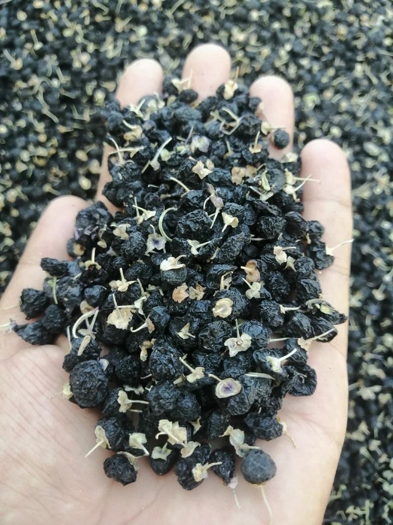 黑枸杞一罐500g甘肃玉门花海黑枸杞甘肃价格便宜批发