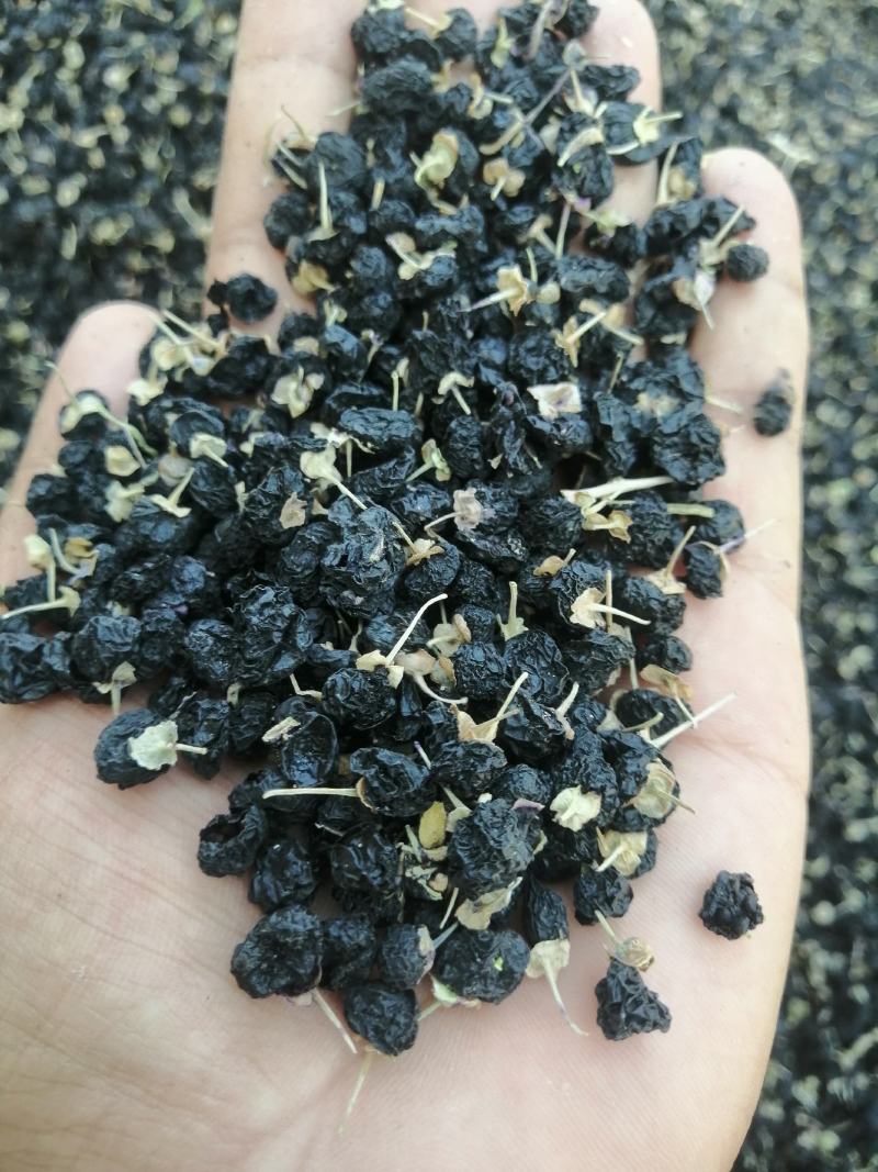 黑枸杞一罐500g甘肃玉门花海黑枸杞甘肃价格便宜批发
