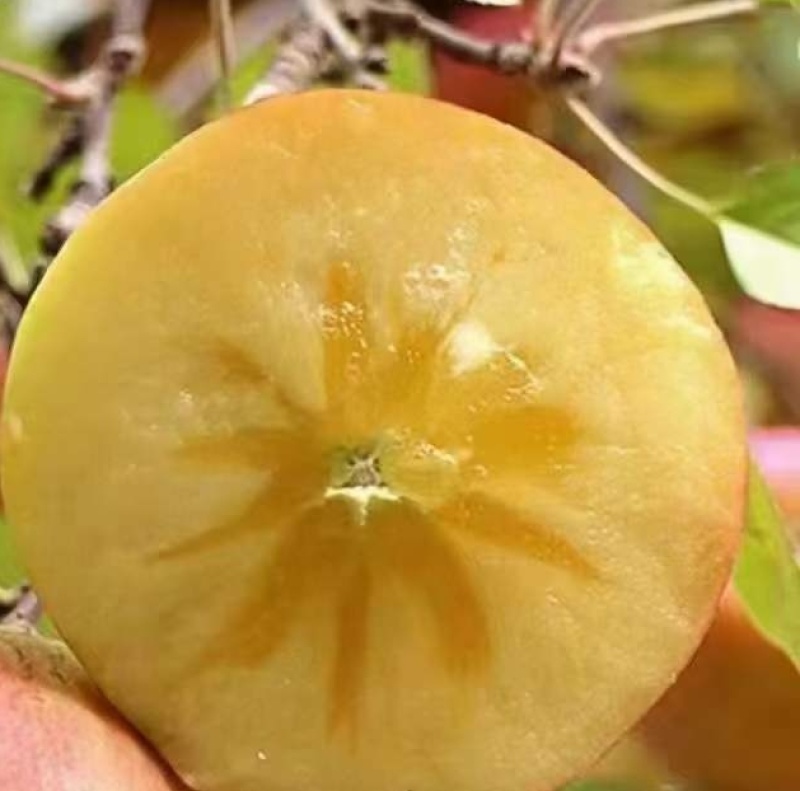 糖心苹果