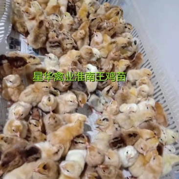 淮南王