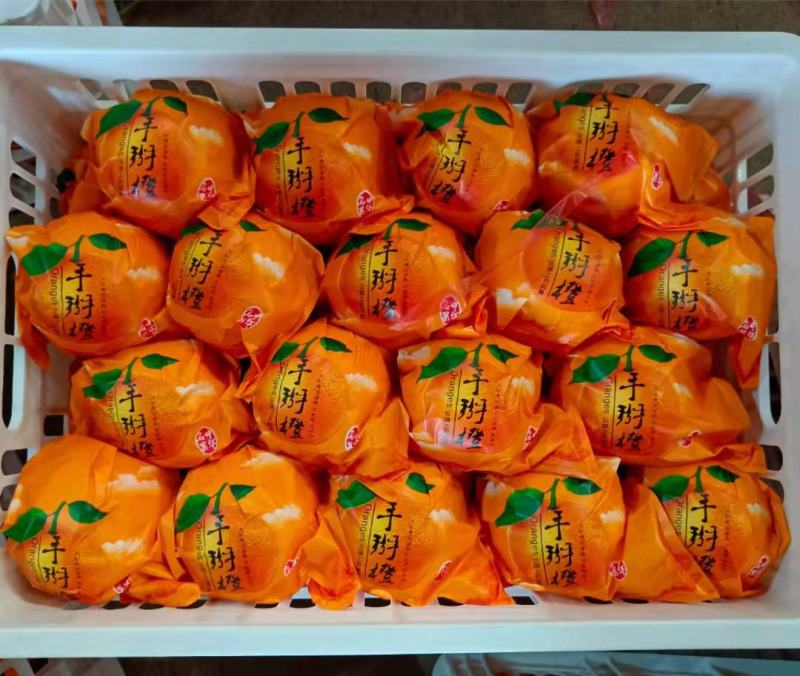 1脐橙秭归脐橙果面干净个头大口感醇正水分充足