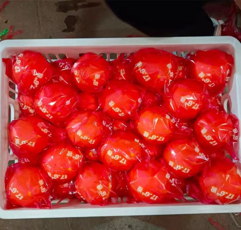 1脐橙秭归脐橙果面干净个头大口感醇正水分充足