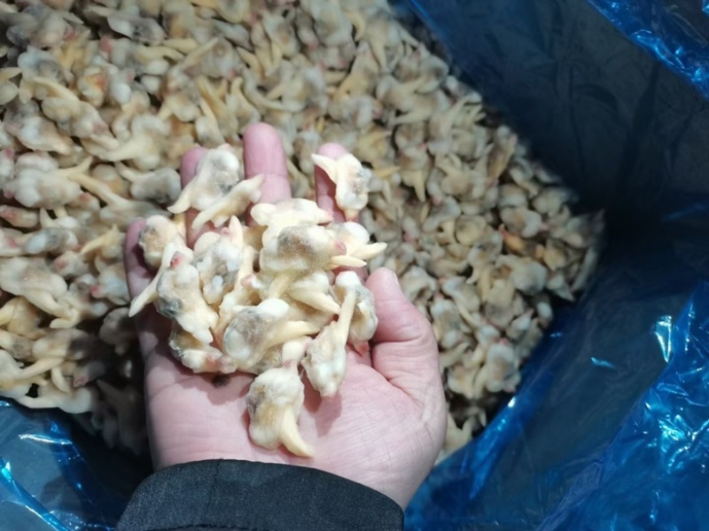无沙黄蚬子肉单冻蛤肉海捕蛤蜊肉自助餐