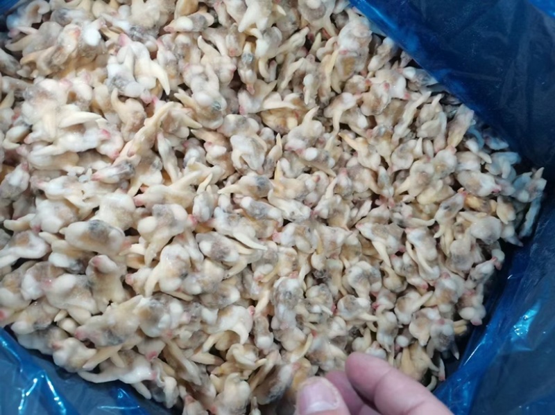 无沙黄蚬子肉单冻蛤肉海捕蛤蜊肉自助餐