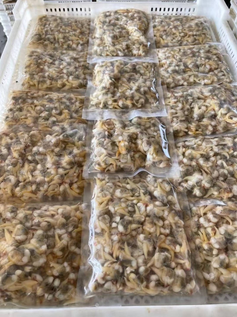 无沙黄蚬子肉单冻蛤肉海捕蛤蜊肉自助餐
