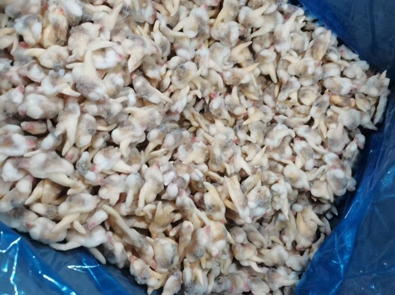无沙黄蚬子肉单冻蛤肉海捕蛤蜊肉自助餐