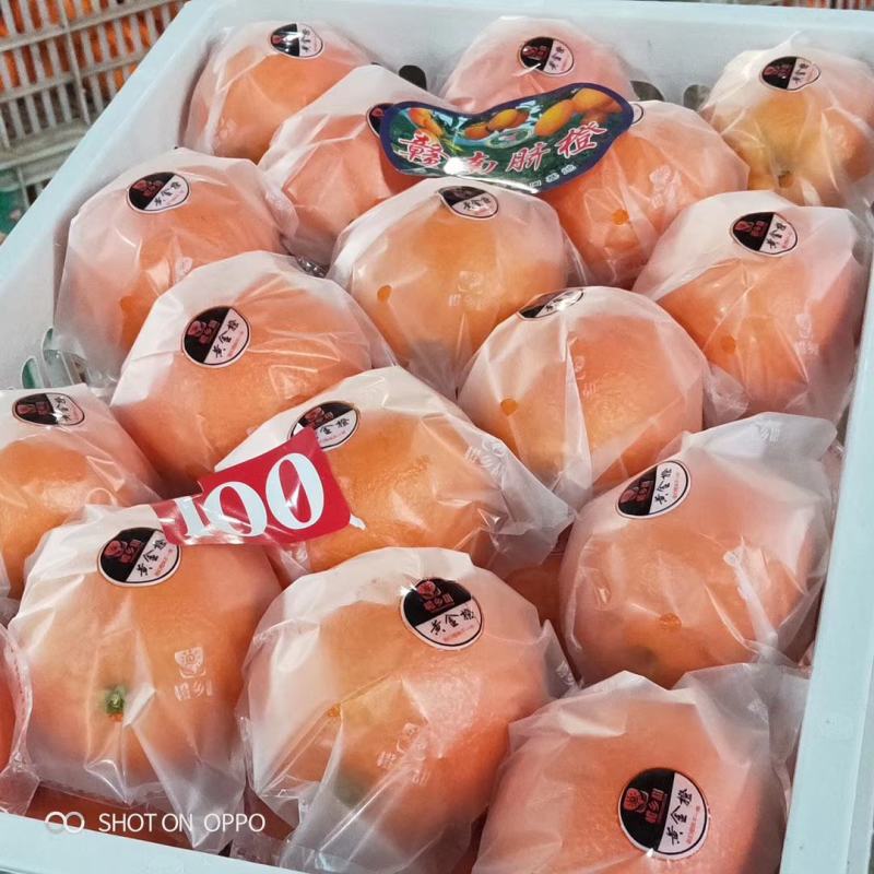 2长虹橙果型椭圆颜色火红纯甜多汁入口化渣