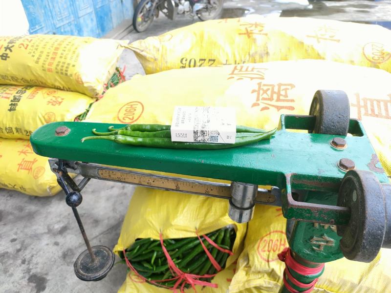 现货线椒供商超批发商团购