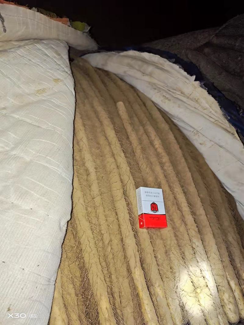 太康县铁棍山药