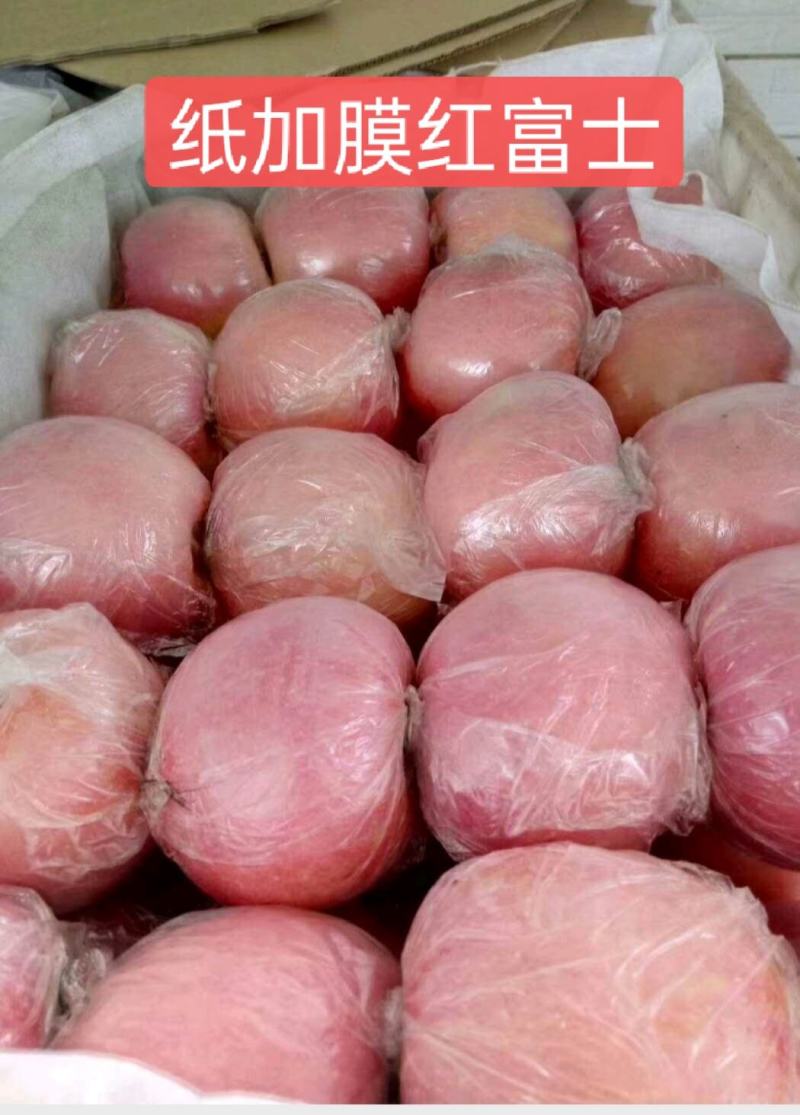 红富士苹果产地✔纸袋&膜袋&纸加膜✔规格齐全🔥诚信报价