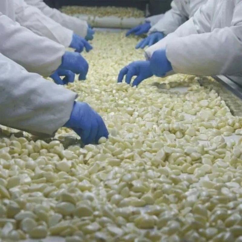 剥皮蒜米装剥好的紫皮2021年新蒜大蒜机器去皮蒜米蒜瓣干