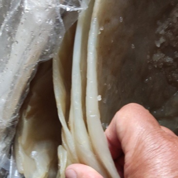 自己加工海蜇皮，颜色白，片大皮薄，板质好，杠杠脆