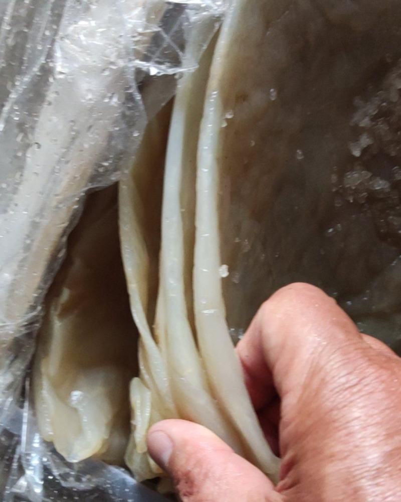 自己加工海蜇皮，颜色白，片大皮薄，板质好，杠杠脆