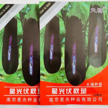 星光伏秋茄绿萼黑茄子种子耐热耐湿耐老果肉白色大田茄子