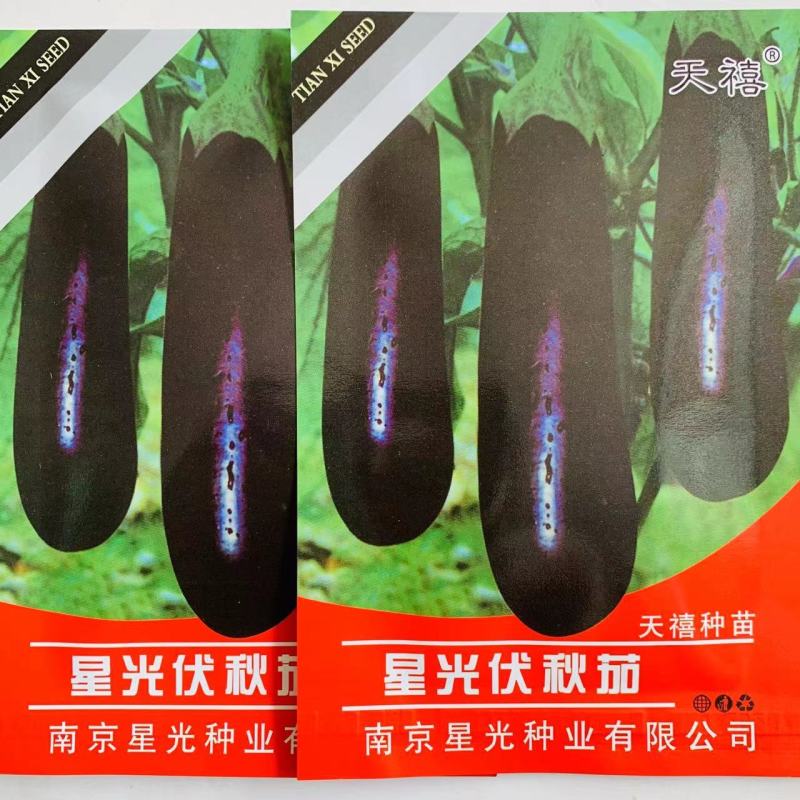 星光伏秋茄绿萼黑茄子种子耐热耐湿耐老果肉白色大田茄子