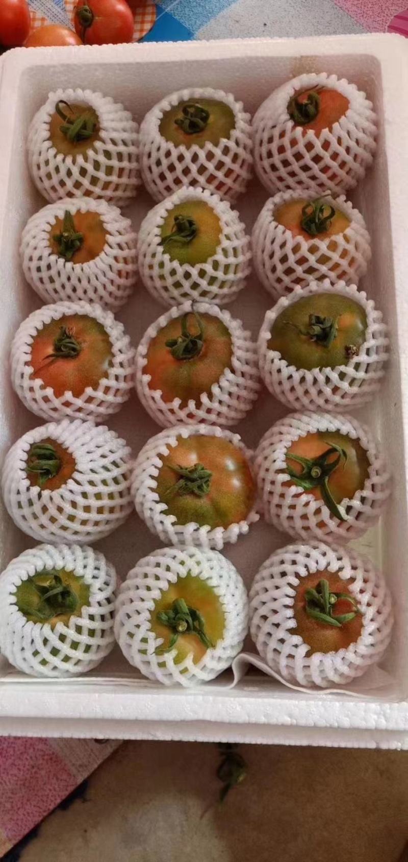 寿光草莓西红柿苗带绿肩口感番茄苗中果小果柿子苗供应