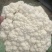青梗散花菜苗有机松花菜苗小米粒菜花苗根系发达易成活