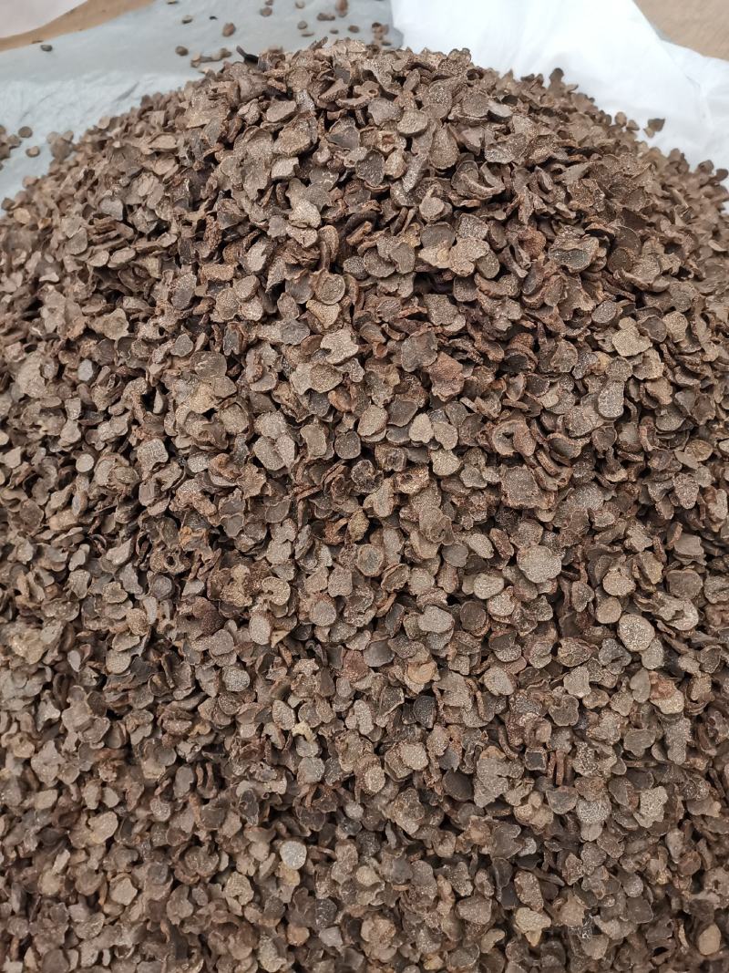 松露猪拱菌块菌干片老家货源直拱货源充足量大从优