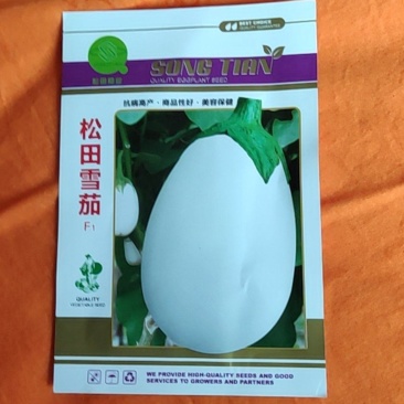 松田雪茄种子