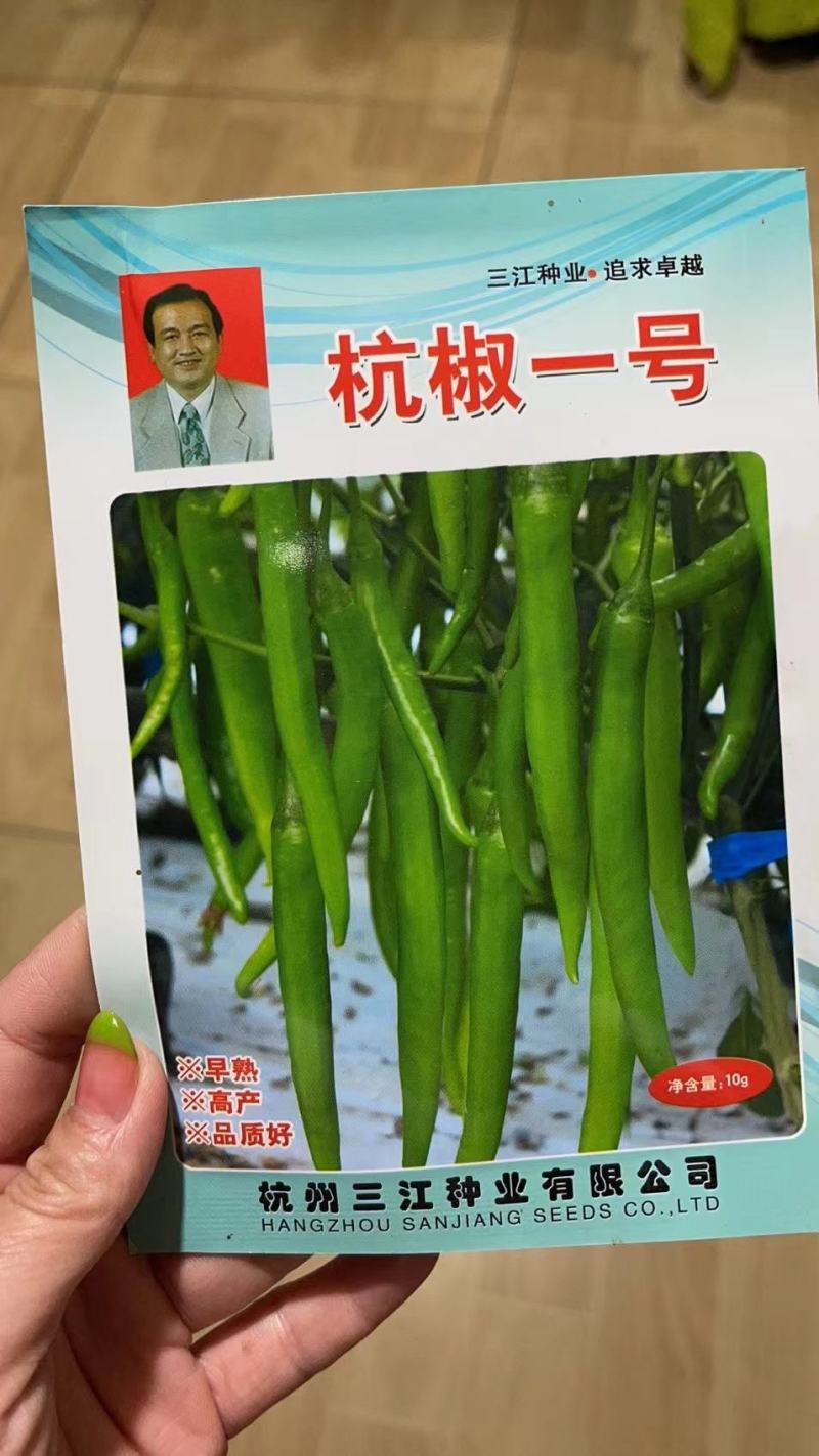 杭椒种苗杭椒1号6号7号辣椒苗二荆条线辣椒苗辣度好