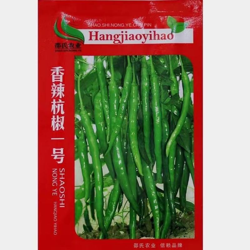 杭椒种苗杭椒1号6号7号辣椒苗二荆条线辣椒苗辣度好