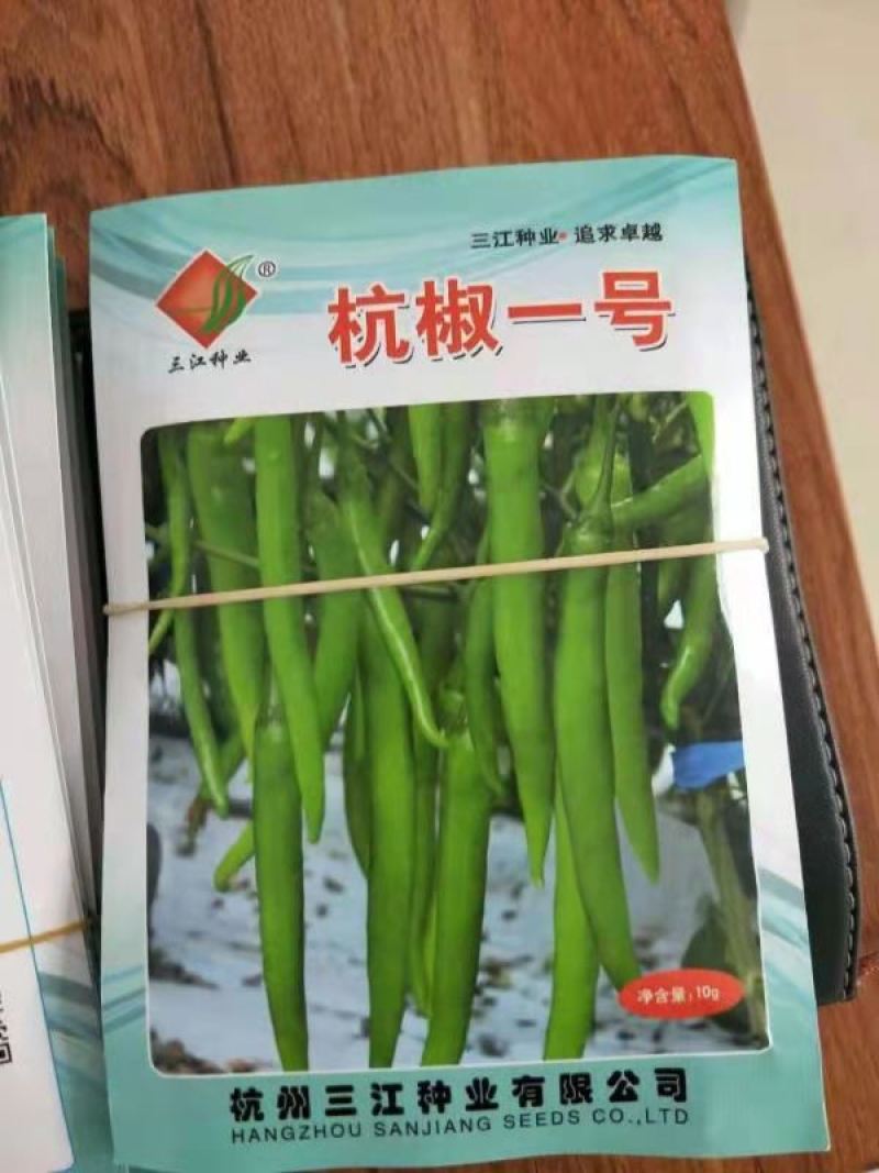 杭椒种苗杭椒1号6号7号辣椒苗二荆条线辣椒苗辣度好