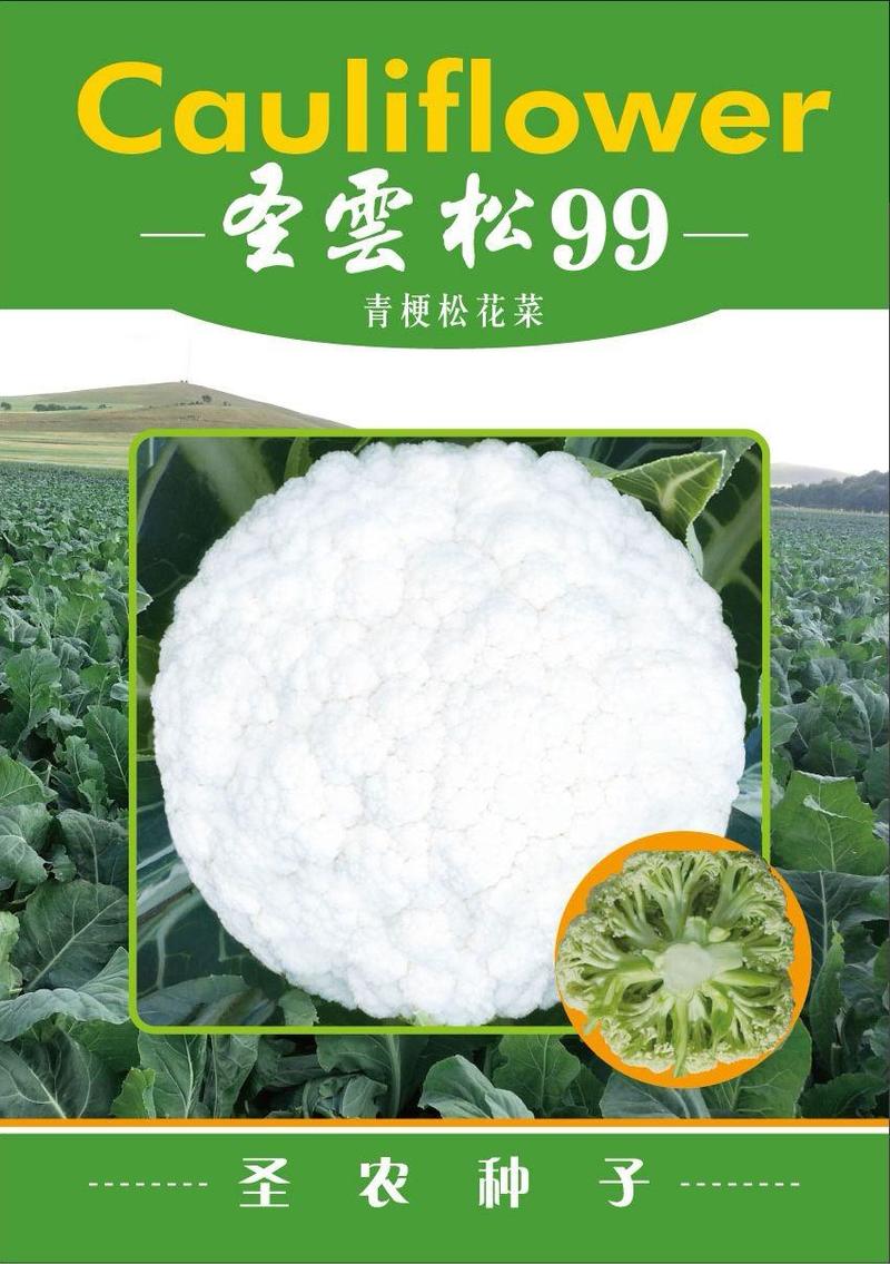 圣农70——白面青梗松花菜种子，货真价实