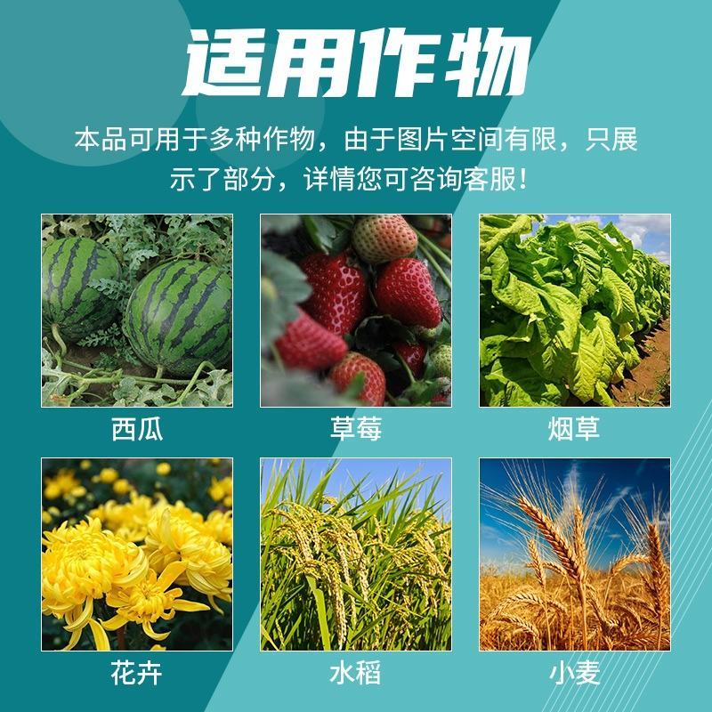 98%磷酸二氢钾蔬菜瓜果花卉钾肥冲施肥国光甲水溶肥