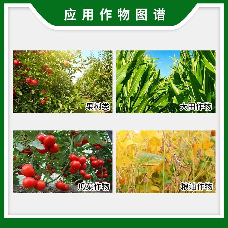 98%磷酸二氢钾蔬菜瓜果花卉钾肥冲施肥国光甲水溶肥