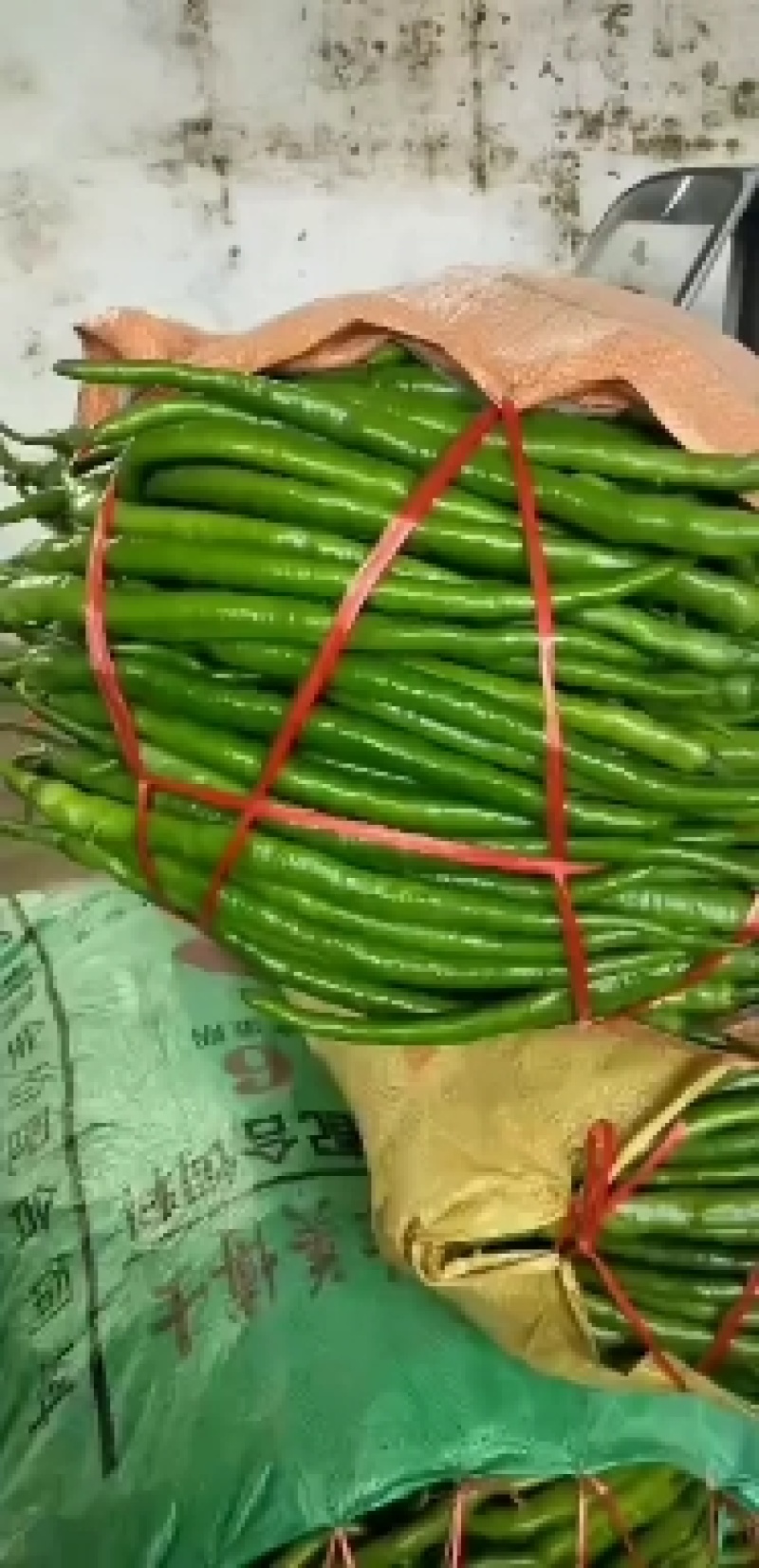 砀山薄皮辣椒芜湖椒线椒安徽辣椒品质保证