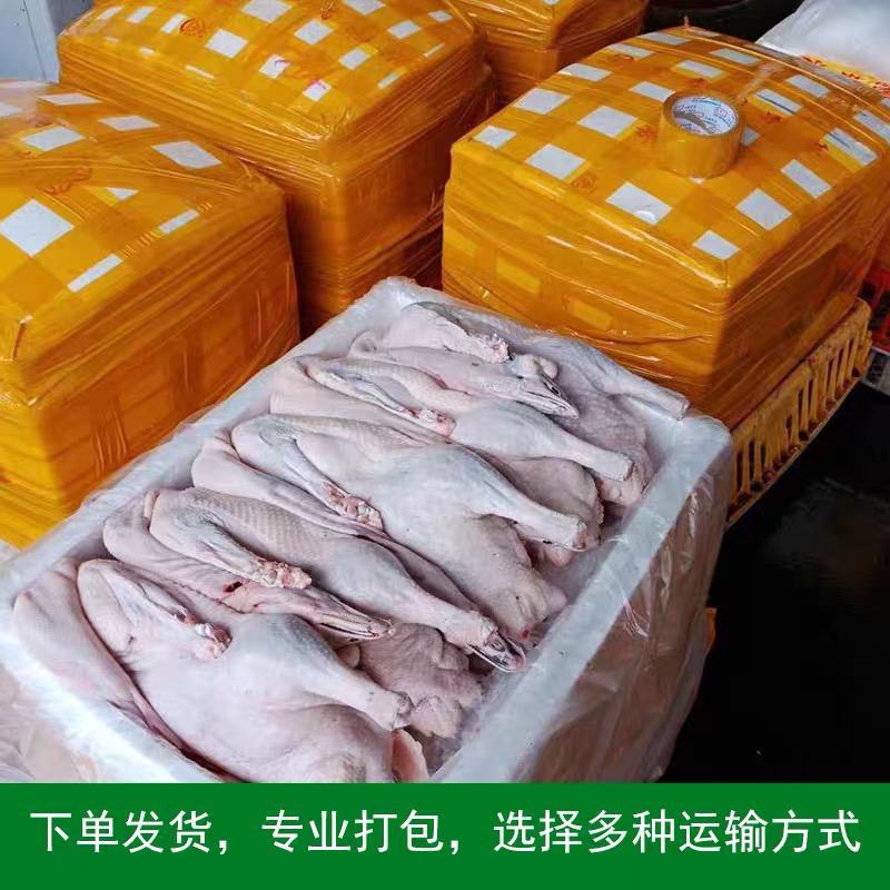 黑棕鹅广式烧腊烧鹅乌棕鹅光鹅冰鲜鹅新鲜醉鹅烤