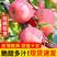 【苹果】山东苹果产地直销价格便宜保质保量