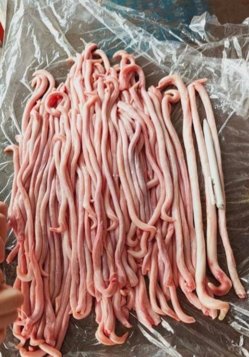 新鲜精品猪鞭