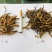 虫草西藏那曲野生新纯肉断草正宗肉节断草假一赔十。