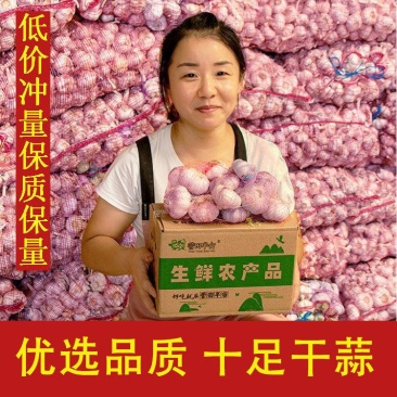 【超低价抢购】山东紫皮大蒜新蒜干蒜批发10斤大蒜