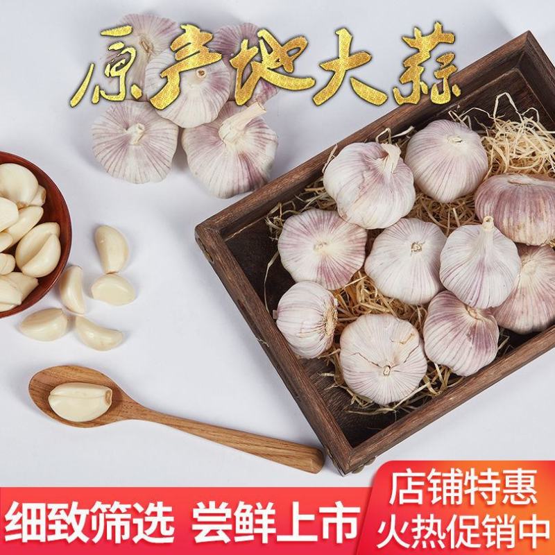 【超低价抢购】山东紫皮大蒜新蒜干蒜批发10斤大蒜