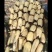 陕西黄河莲藕