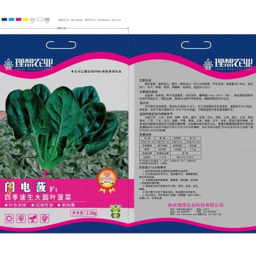 闪电菠菜，大圆叶，叶片大而肥厚，叶色浓绿，抽苔睌，。