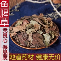 鱼腥草500克包邮鱼腥草茶折耳根中药材