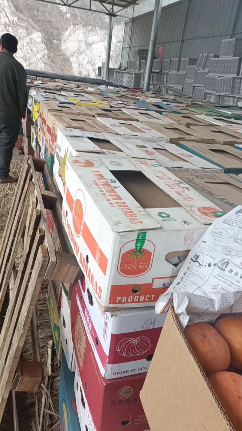 万亩基地直供磨盘柿保质保量