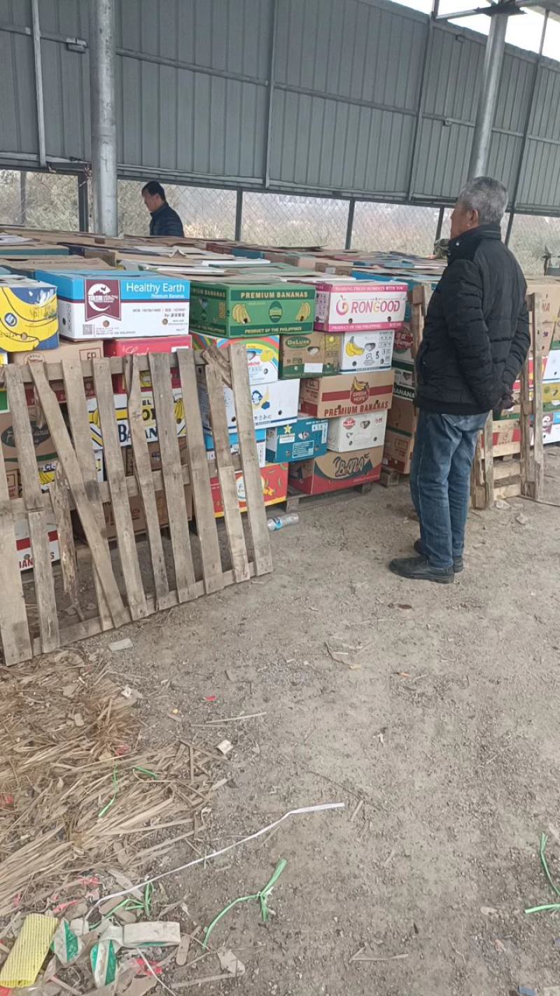 万亩基地直供磨盘柿保质保量